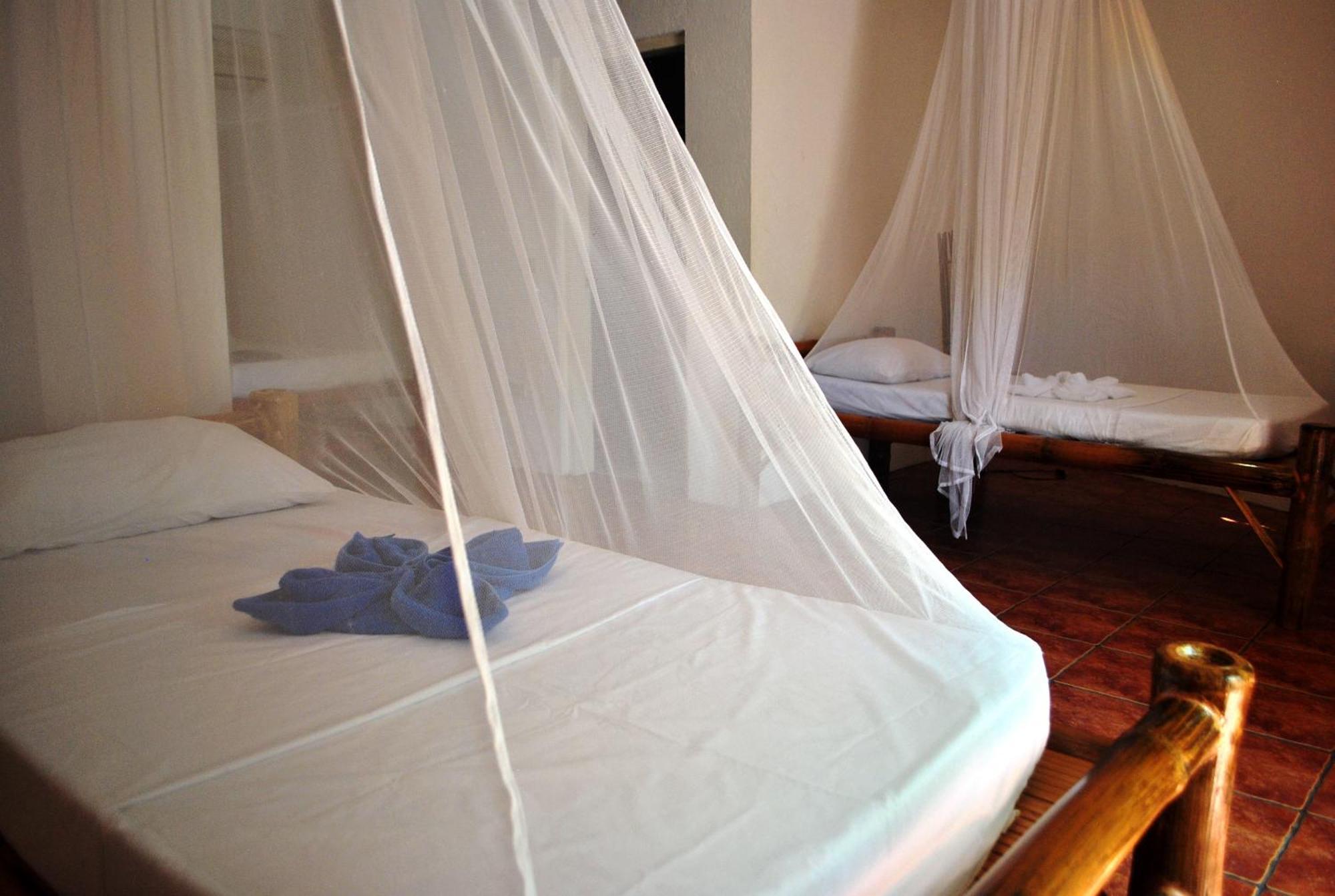 The Blue Orchid Resort Moalboal Room photo