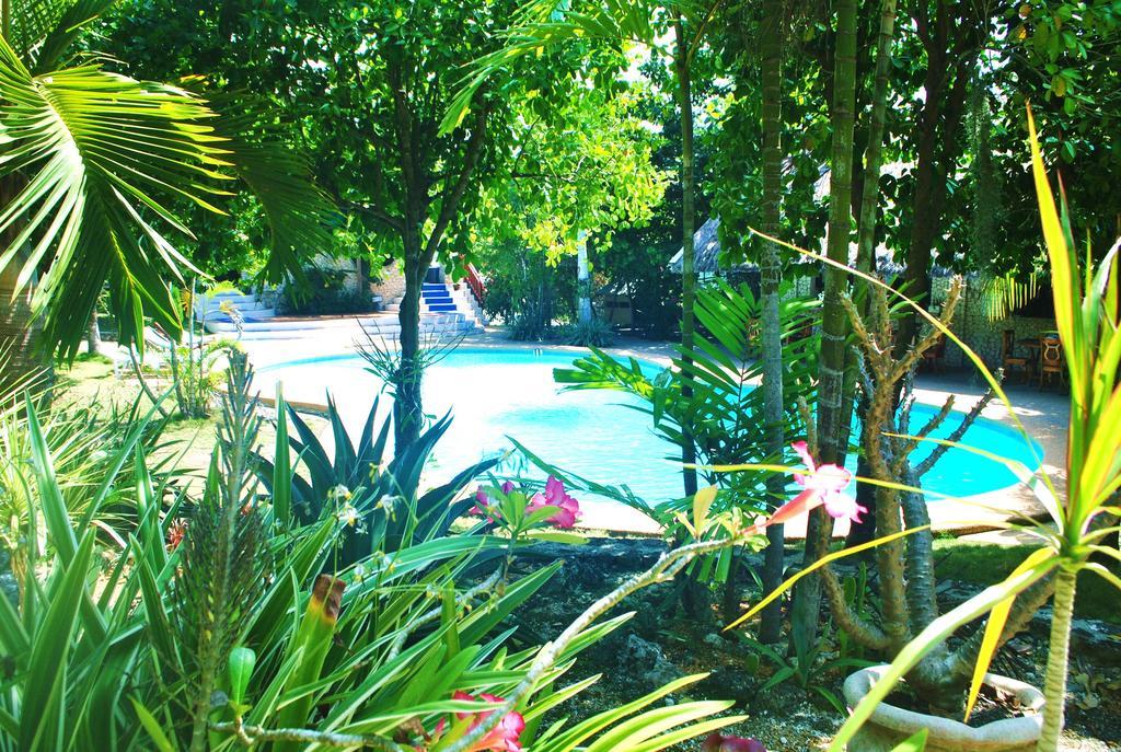 The Blue Orchid Resort Moalboal Exterior photo
